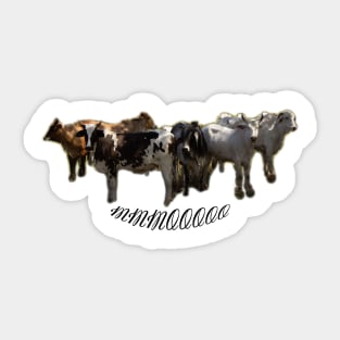 cow Sticker